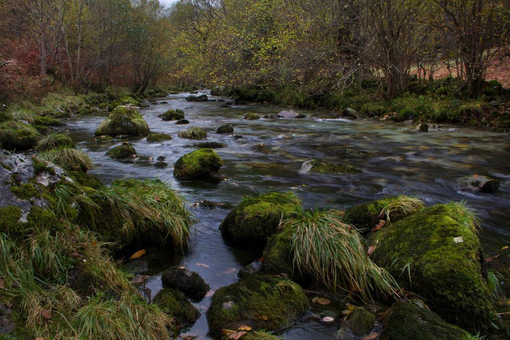 Casa Rural La Regoria Carrena de Cabrales Kültér fotó