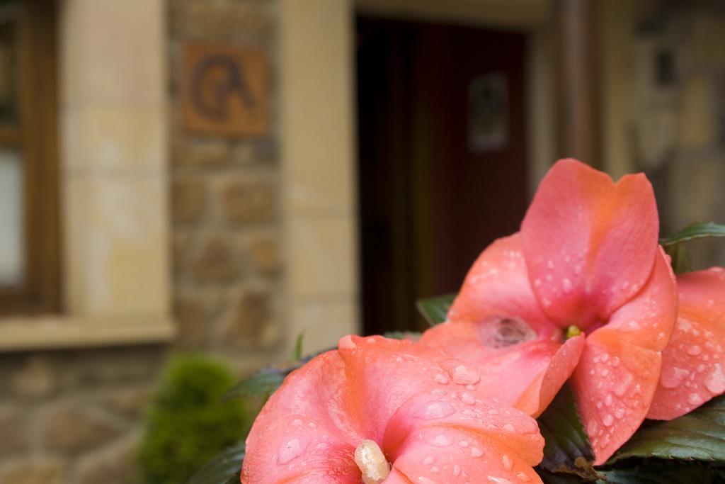 Casa Rural La Regoria Carrena de Cabrales Kültér fotó